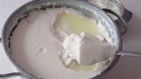 evde laktozsuz yoğurt yapımı